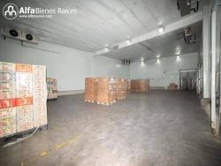 Alquiler propiedad industrial 996m2 Cámaras de Frío, Norte d
