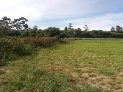 Área para Venta en Quito - 5