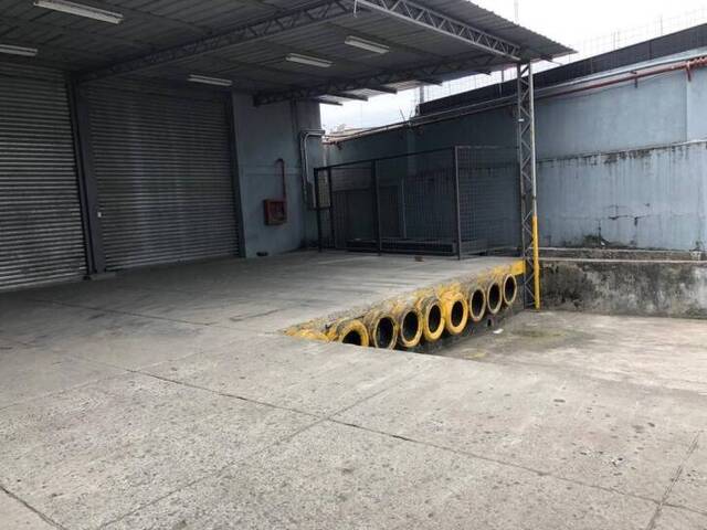 Bodegas para Alquiler en Guayaquil - 3