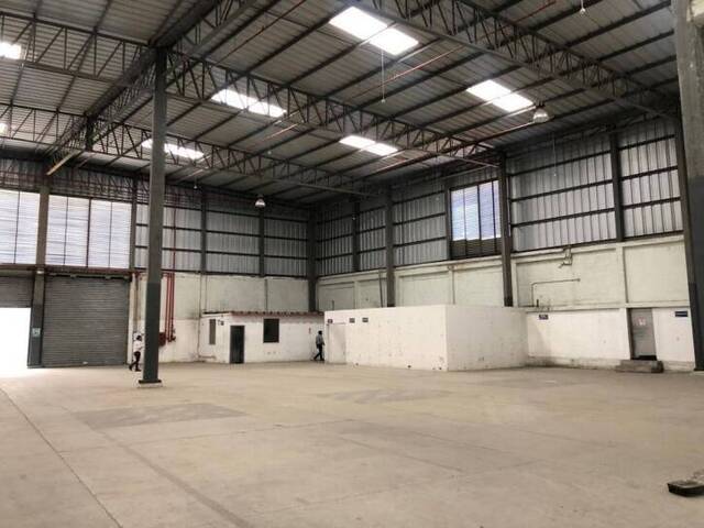 Bodegas para Alquiler en Guayaquil - 4