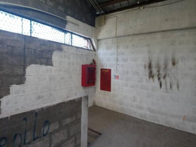 Bodegas para Alquiler en Guayaquil - 5