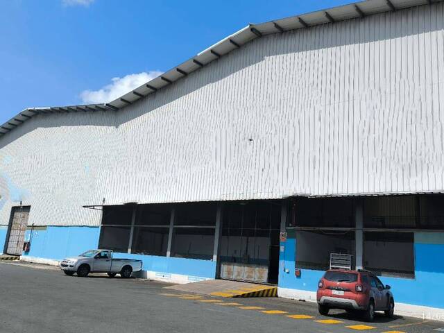 Bodega para Alquiler en Guayaquil - 4
