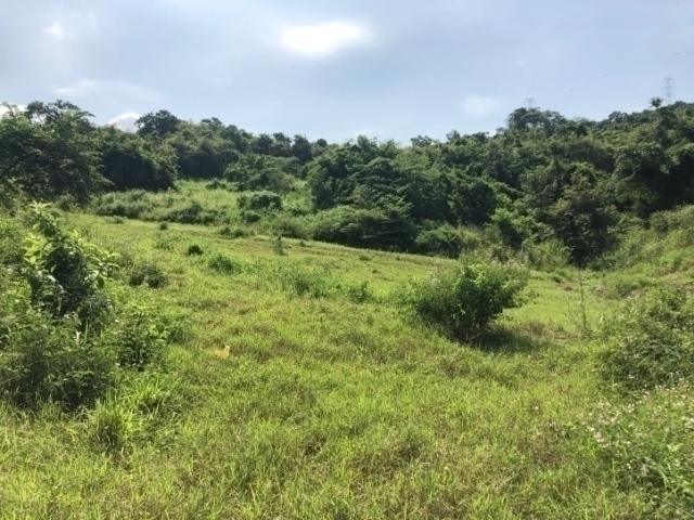 Terreno para Alquiler en Guayaquil - 2