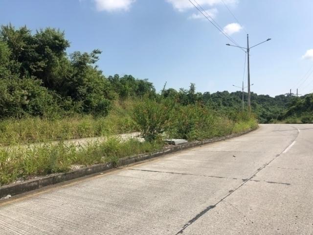 Terreno para Alquiler en Guayaquil - 3