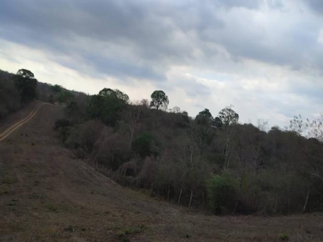 Hacienda para Venta en Guayaquil - 5
