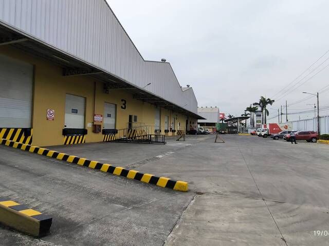 Bodegas para Alquiler en Guayaquil - 3