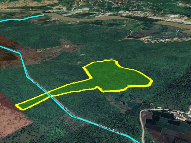 Venta Terreno 25ha Los Lojas Daule Gran Guayaquil Ecuador