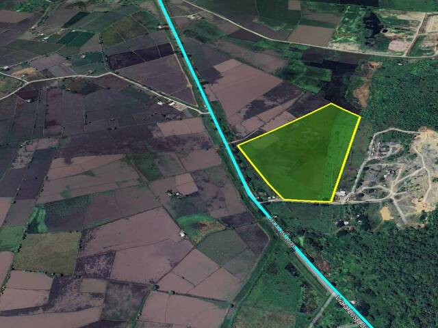 Venta Terreno 1ha Los Lojas Daule Gran Guayaquil Ecuador