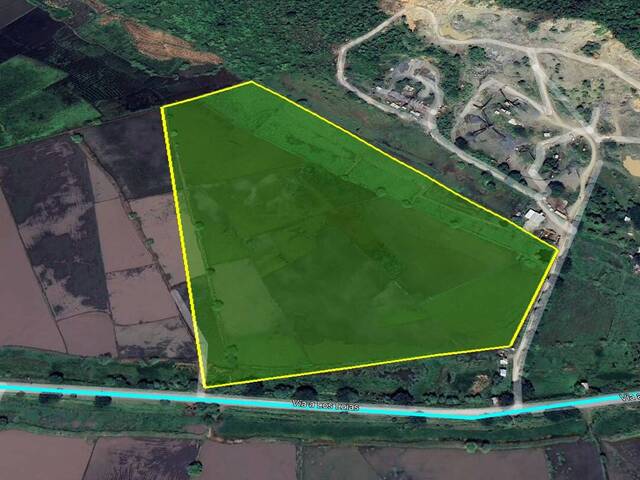 Venta Terreno 1ha Los Lojas Daule Gran Guayaquil Ecuador