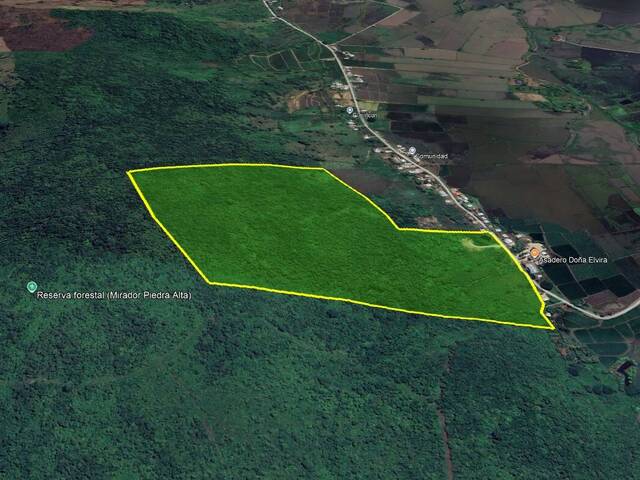 Venta Terreno 33ha Los Lojas Daule, Gran Guayaquil, Ecuador