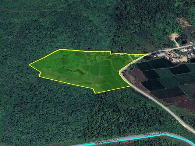 Venta Terreno 9ha Los Lojas Daule, Gran Guayaquil, Ecuador