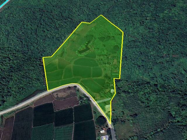 Venta Terreno 9ha Los Lojas Daule, Gran Guayaquil, Ecuador