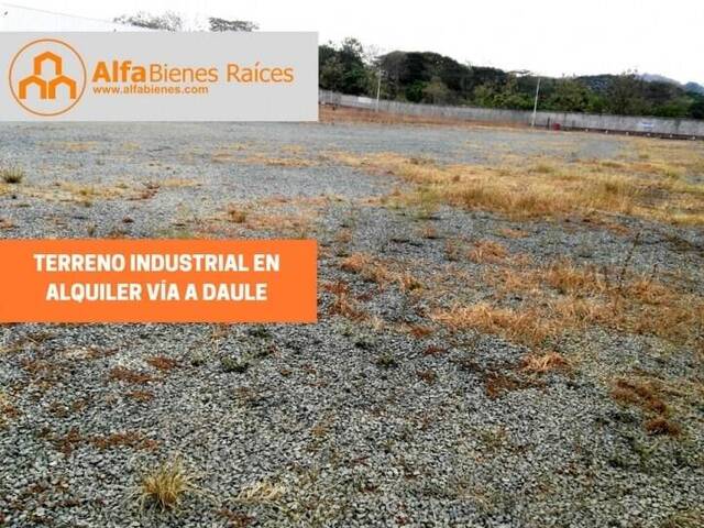 Terreno para Alquiler en Guayaquil - 3