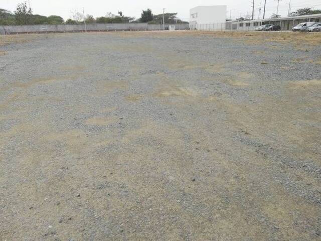 Terreno para Alquiler en Guayaquil - 2
