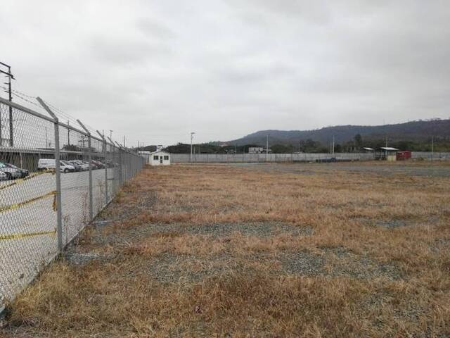 Terreno para Alquiler en Guayaquil - 4