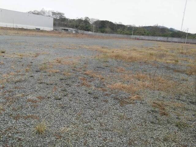 Terreno para Alquiler en Guayaquil - 5