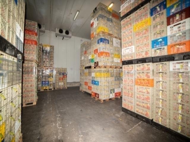 Bodegas para Alquiler en Quito - 5