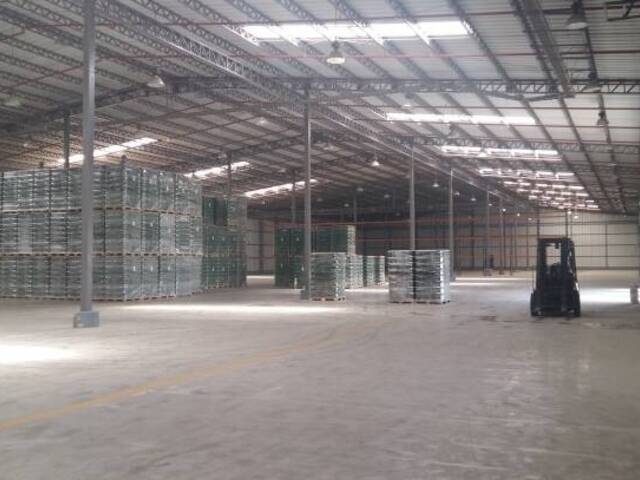 Bodegas para Alquiler en Guayaquil - 3