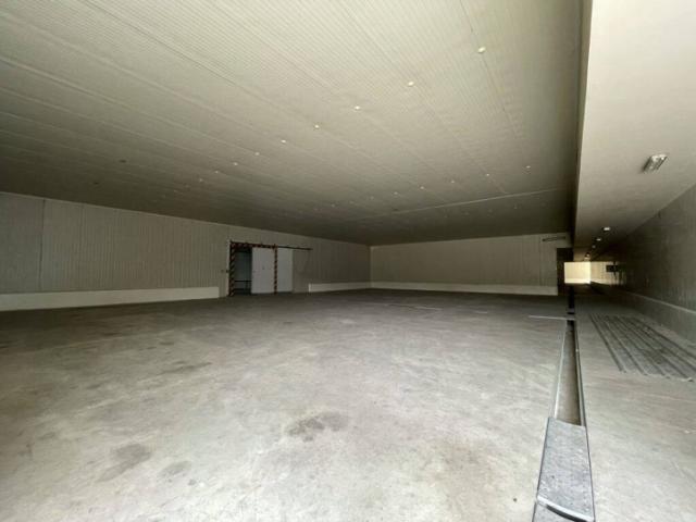 Bodegas para Alquiler en Guayaquil - 5