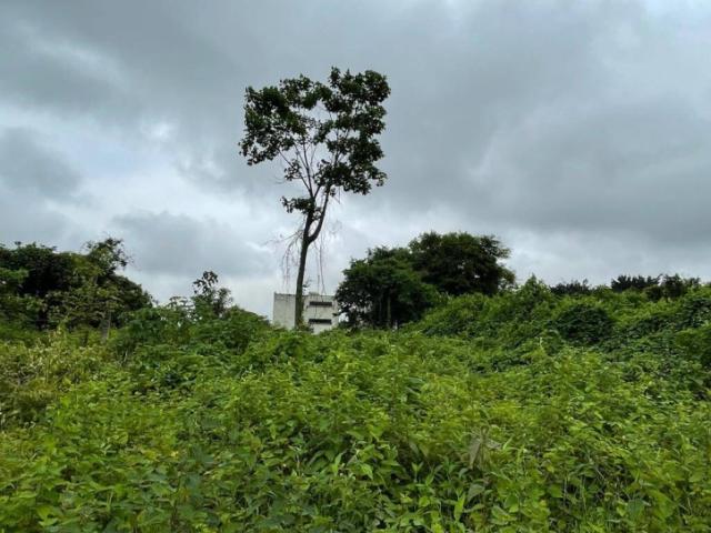 Terreno para Venta en Guayaquil - 5