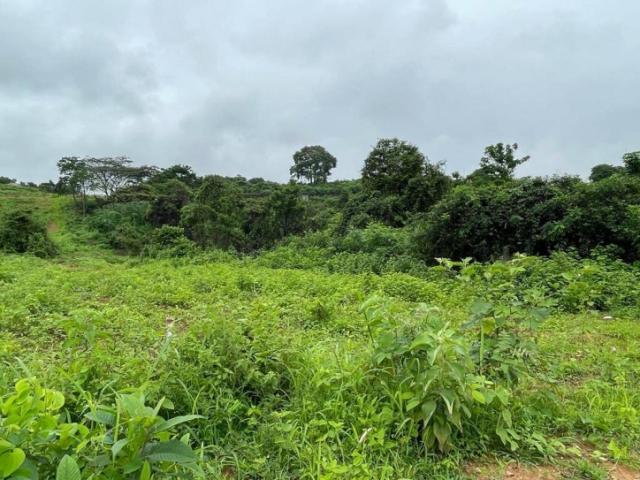 Terreno para Venta en Guayaquil - 3