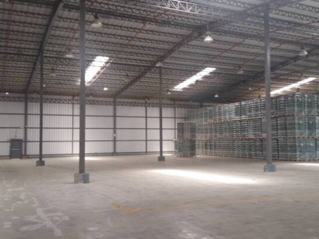 Bodegas para Alquiler en Guayaquil - 4