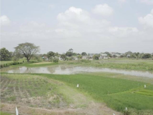 EN VENTA 25.848m2 DE TERRENO- BABAHOYO -PROV. LOS RIOS