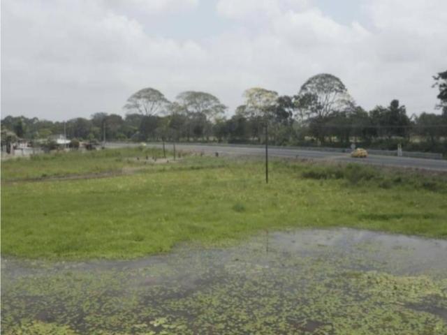 Terreno para Venta en Babahoyo - 4