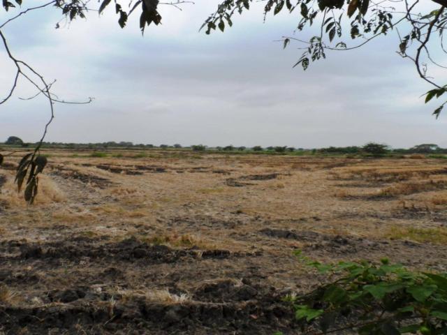 Terrenos Industriales para Venta en Durán - 2