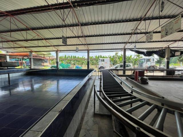 #4525 - Hacienda para Venta en Vinces - R