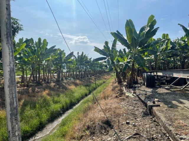 #4525 - Hacienda para Venta en Vinces - R