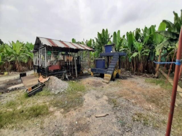 Hacienda para Venta en Baba - 4