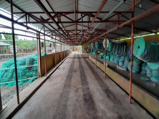 BANANERA EN VENTA 102 HECTAREAS - PROV LOS RIOS - CANTÓN BA