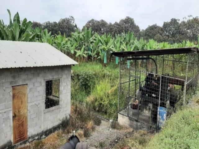 Hacienda para Venta en Baba - 5