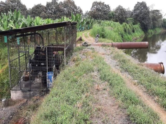 BANANERA EN VENTA 102 HECTAREAS - PROV LOS RIOS - CANTÓN BA