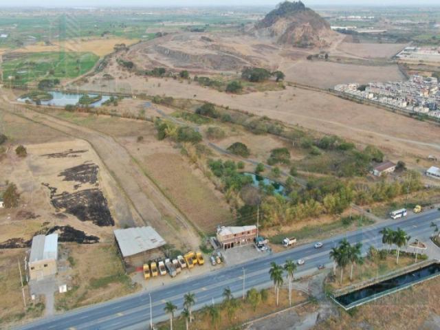 Venta en Vía Salitre - Daule