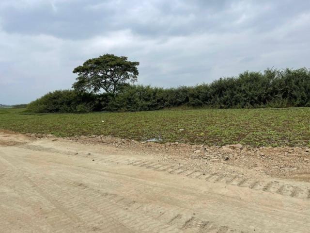 Venta en Vía Samborondón - Samborondón