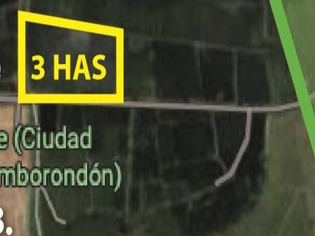 Terreno para Venta en Samborondón - 4