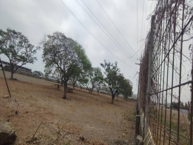 Terrenos Industriales para Venta en Durán - 4