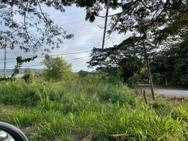 #5063 - Terrenos Industriales para Venta en Guayaquil - G