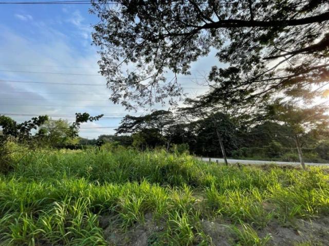 #5063 - Terrenos Industriales para Venta en Guayaquil - G
