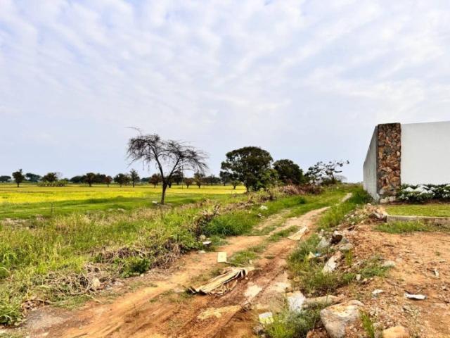 Terreno para Venta en Samborondón - 5
