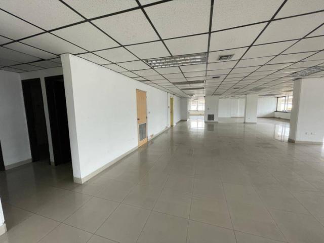 Oficina en alquiler 178,07m2 - Edificio ejecutivo - Av. de L