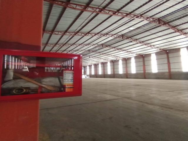 Bodegas para Alquiler en Guayaquil - 4