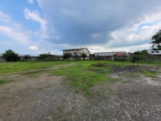 Venta en Vía a Daule - Guayaquil