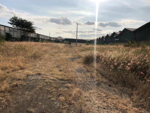 Terreno en Alquiler rellenado y compactado 4000m² - Vía Daul