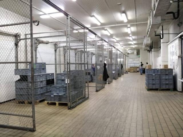 Bodegas para Venta en Guayaquil - 4