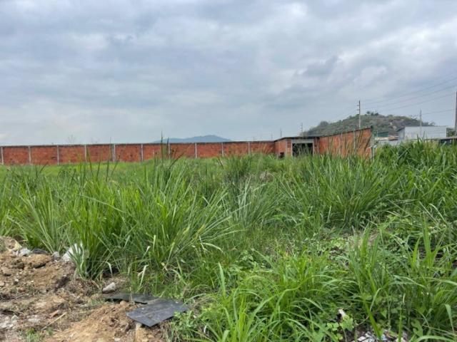 Terrenos Industriales para Venta en Daule - 4