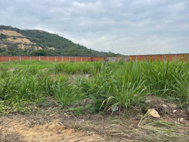 Terrenos Industriales para Venta en Daule - 5